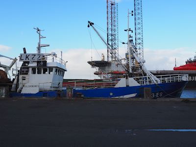 Goldringnes