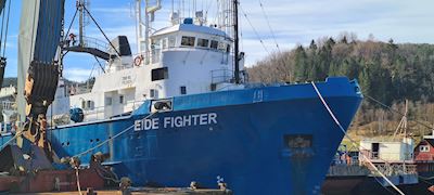 Eide Fighter 