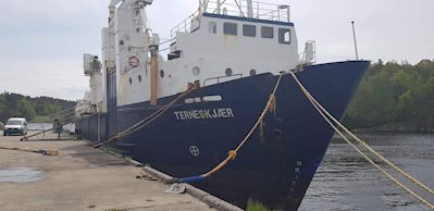 Terne Skejer 