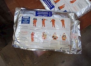 Passenger suit