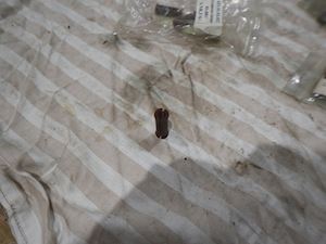 Caterpillar Groment Damper - 1