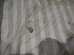 Caterpillar Key - 1