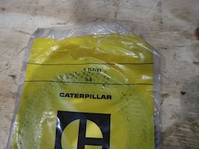 Caterpillar Plate #1