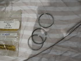 Caterpillar Ring #2