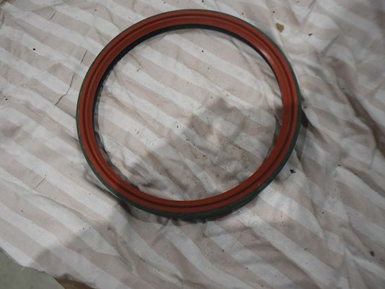 Caterpillar Seal #3