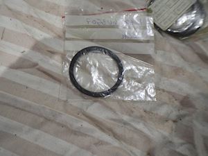 Caterpillar Seal - 1
