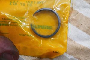 Caterpillar Ring - 1