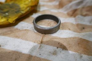 Caterpillar Insert - 1