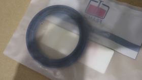 Framo Oil Seal #1