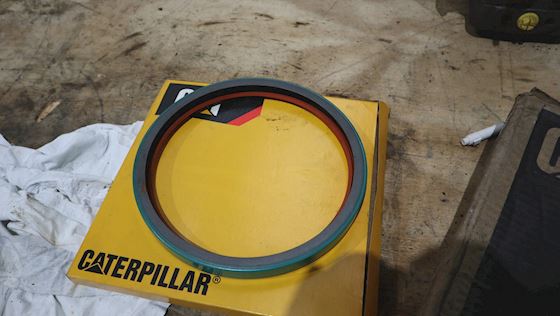 Caterpillar Seal #1
