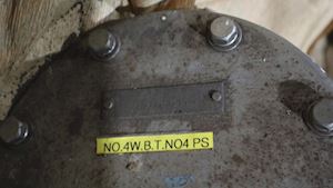 Musasino &Co Level Pascal Detect Element - 1