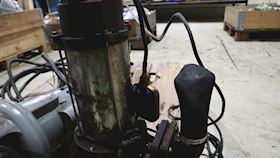 Omnigena Submersible pump Furia 1800F #2