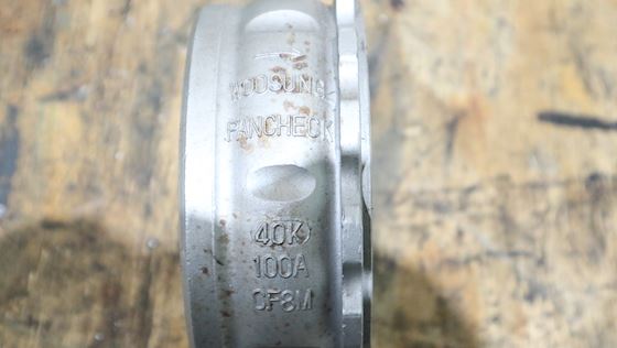 Woo sung Check Valve Pancheck 100A CF8M #3