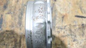 Woo sung Check Valve Pancheck 100A CF8M #3