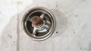 Caterpillar Thermosatic Regulator 4W4794 - 1