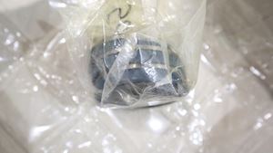 Allweiler AG Set of Radial Shaft Seals SNH1700R46 - 1