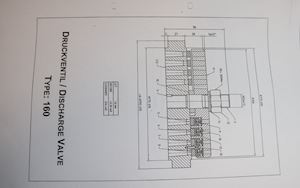 Neuman & Esser Discharge Valve 160 - 1