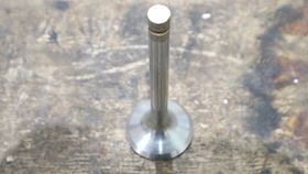 Cummins Exhaust Valve 3921444 #1