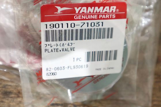 Yanmar Valve Plate 190110-71031 #1