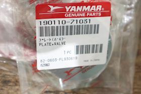Yanmar Valve Plate 190110-71031 #1
