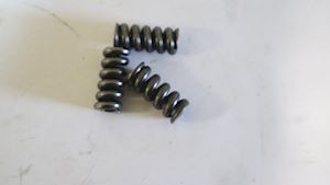 Alfa Laval Spring 9699 - 1