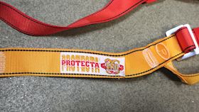 Protecta International Harness #6