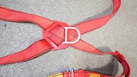 Protecta International Harness #8