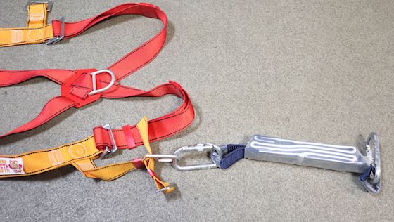 Protecta International Harness #7
