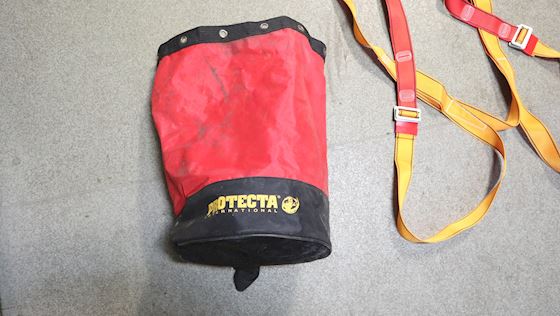 Protecta International Harness #11