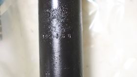 Ruston Injector Assy P4118M1089 #4