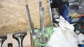 Ruston Exhaust Valve 45° 80-416-01154-301 #5