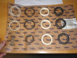Cat pumps Seal Kit 31040 - 1