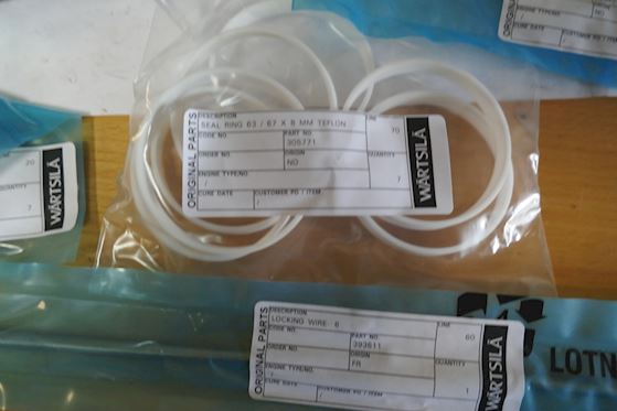 Wärtsilä Blade Seal Kit 520494 #3