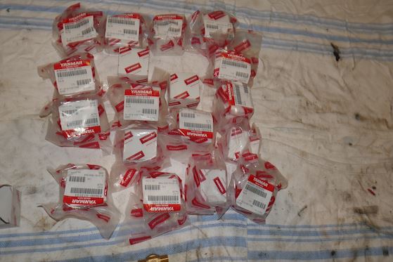 Yanmar Valve 43600-013101 #1