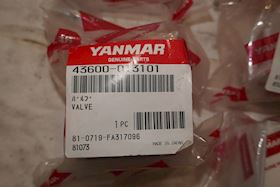 Yanmar Valve 43600-013101 #2
