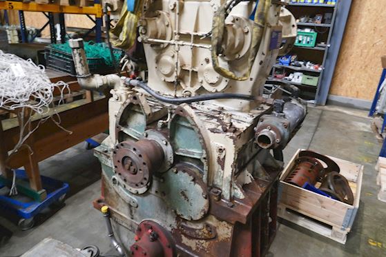ZF Masson ESD 501 #10