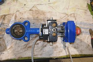 Omal Pneumatic Butterfly Valve V 376XN69 CF8M Disc DN50 - 1