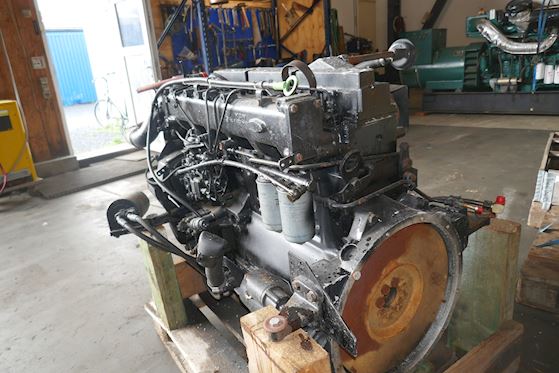 MAN D0836LF01  6 Cyl. #8