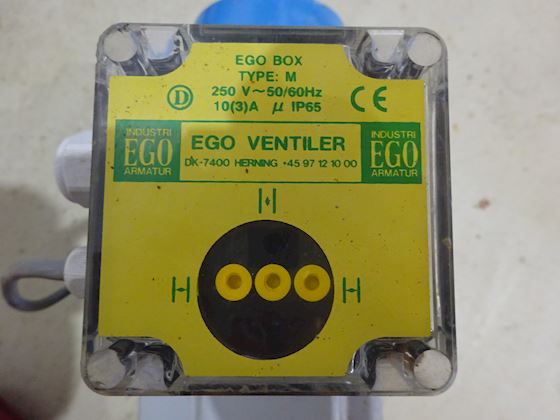 Ego at 350 #4