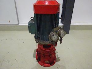 Frank Mohn 21/2V - 1