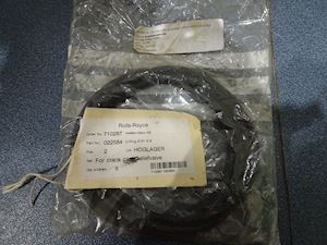 O-ring for crankcase reliefvalve - 1