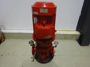 Frank Mohn 21/2V - 1