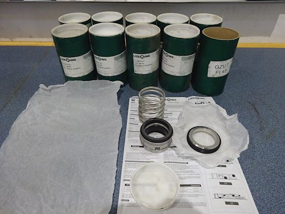 Lidering Mechanical Seals #1