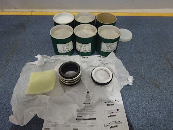 Lidering Mechanical Seals #1