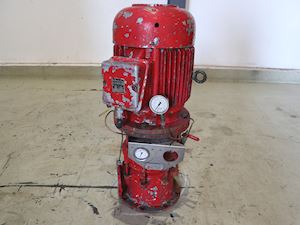 Frank Mohn 2 1/2  VF2 56-691-4 - 1