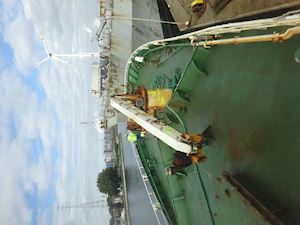 HS Marine Marine crane - 1