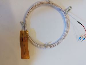 PRO SENSOR PT100 Sensor - 1