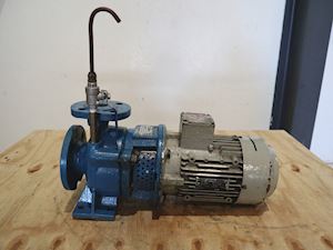 Allweiler AG NB32-125 U3.1D-W19-ME3-24/200 - 1