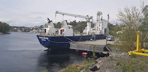 Abas Fixed Boom - 1