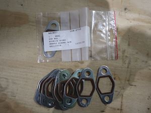 Caterpillar Seal - 1